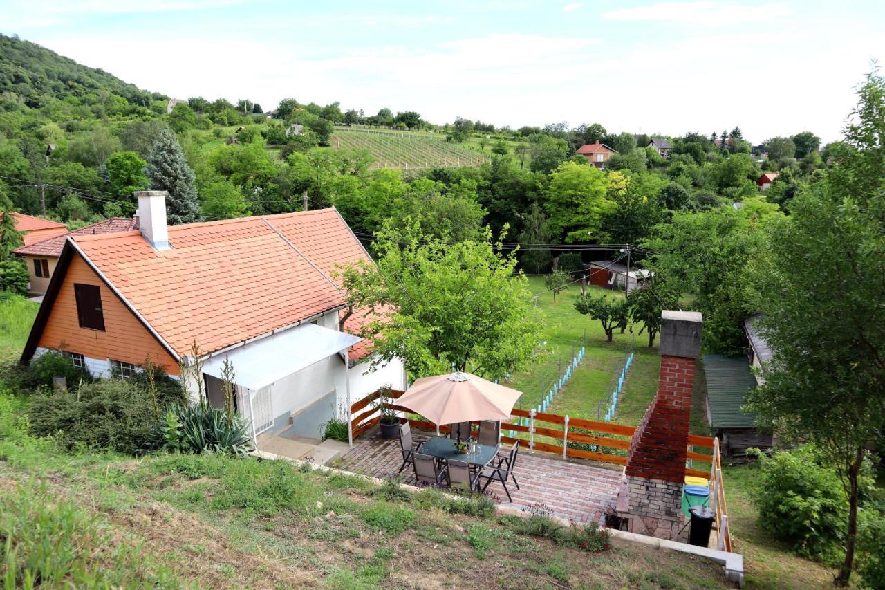Szoloskert Vendeghaz Будинок відпочинку Baj